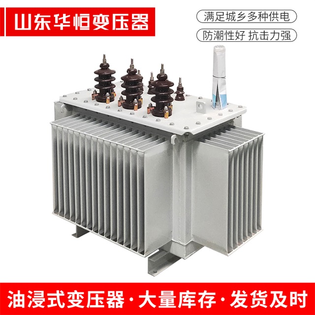 S13-10000/35文山文山文山油浸式变压器厂家